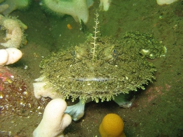 Abbs August '09 009.jpg